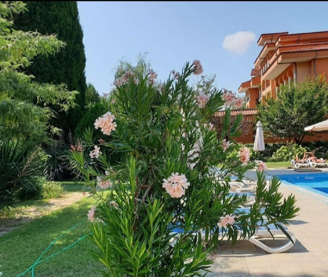 Family Hotel Magnolia Napospart Kültér fotó