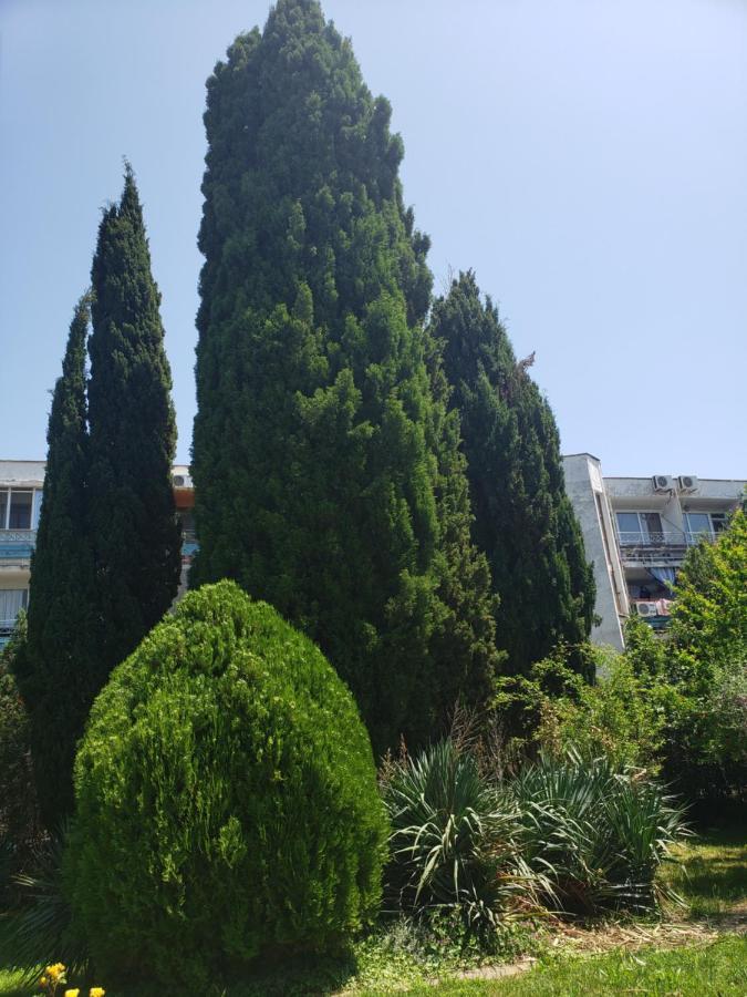 Family Hotel Magnolia Napospart Kültér fotó