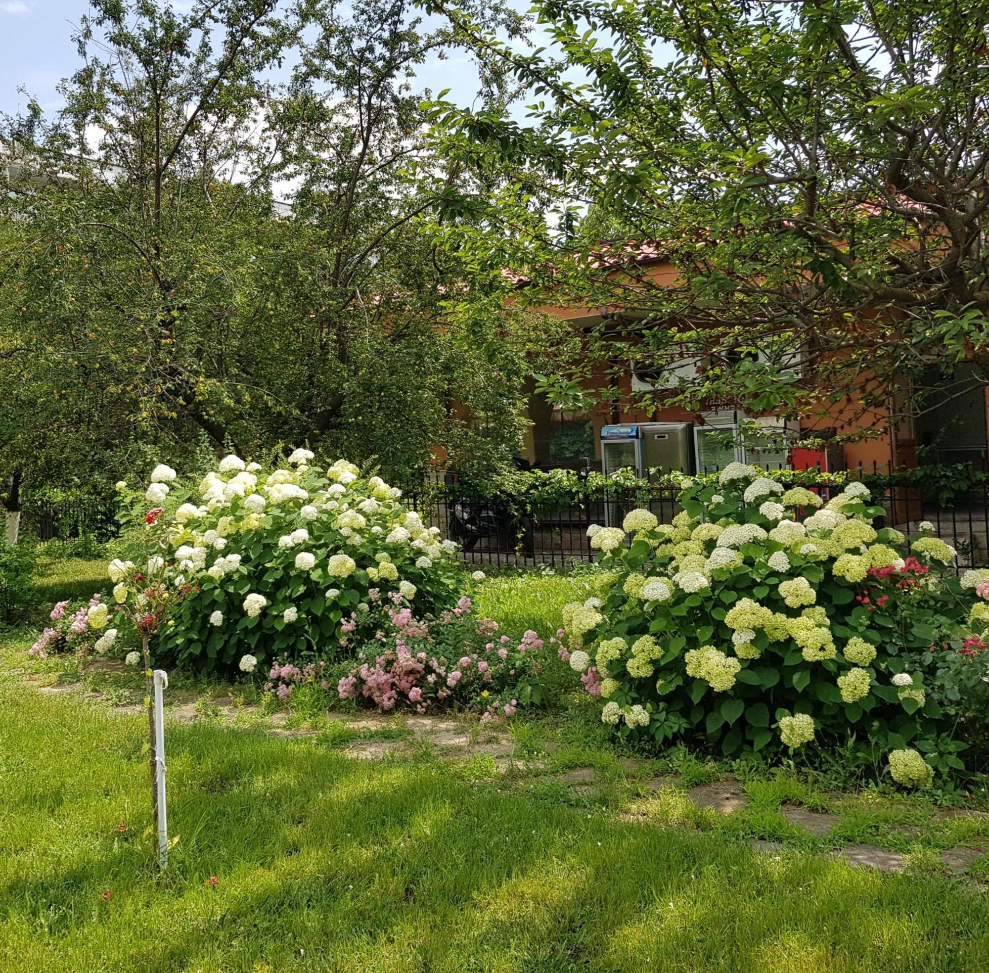 Family Hotel Magnolia Napospart Kültér fotó