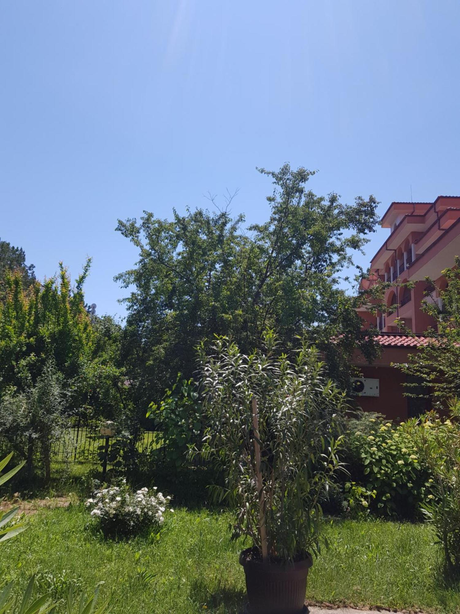 Family Hotel Magnolia Napospart Kültér fotó